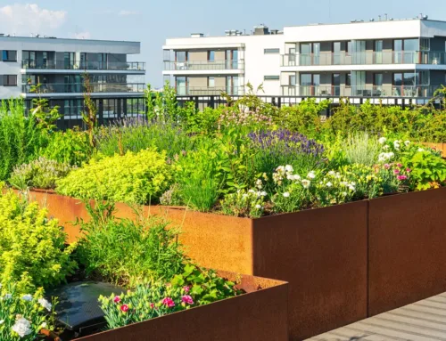 The Mental Health Benefits of Green Spaces in Flats and Apartment Blocks
